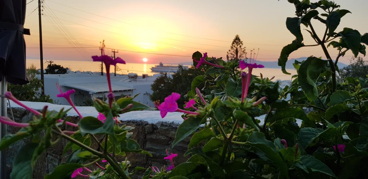 Villa Varnali Small Boutique Mykonos Town Dış mekan fotoğraf