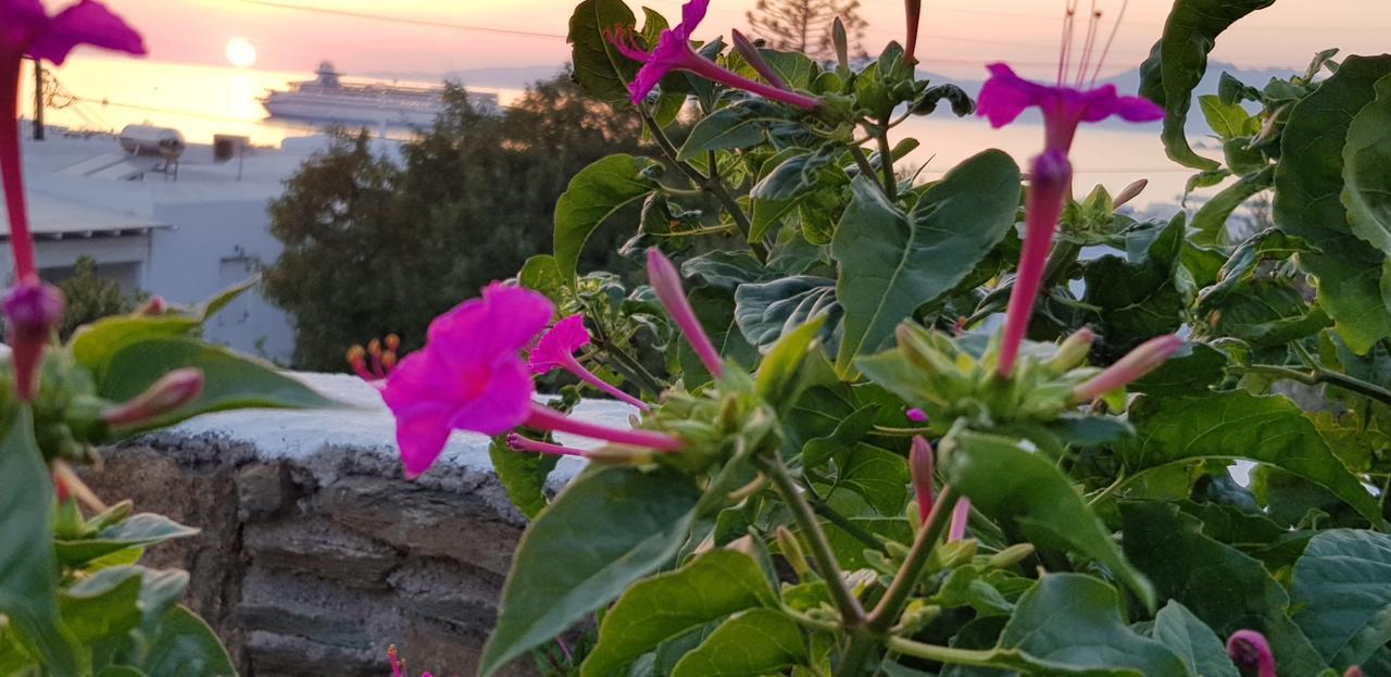 Villa Varnali Small Boutique Mykonos Town Dış mekan fotoğraf